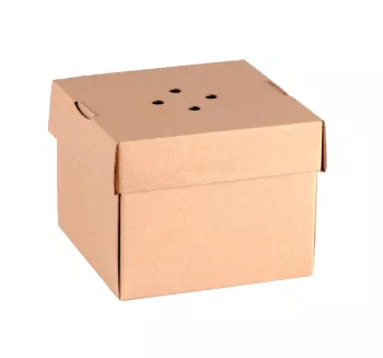 Opakowanie do hamburgera 12x12x10 brąz 100szt.